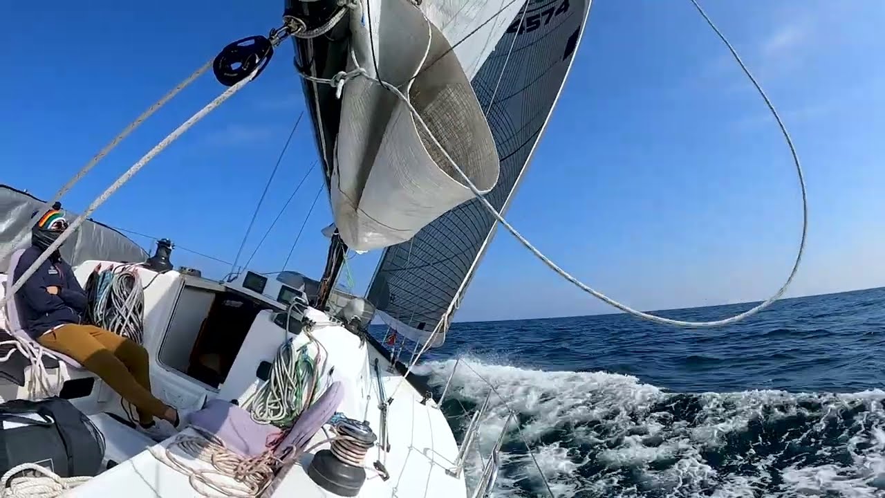 The Hunt. Sailing With a Dolphin Super Pod #ourladydefiant #sailing #yachtracing #dolphin