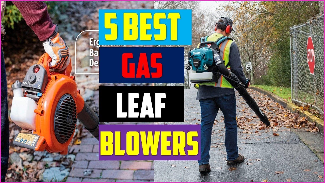 Top 6 Best Gas Leaf Blowers 2023 Best Gas Leaf Blowers Reviews Of 2023
