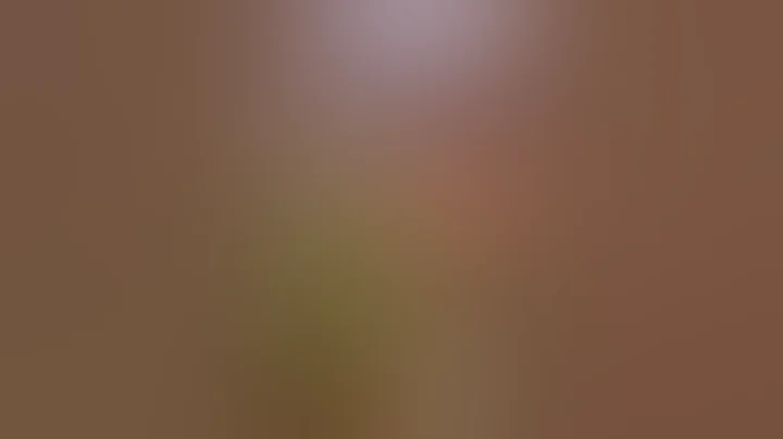 How to pollenate your Cannabis #plants  #shorts #pollen #seeds #flowers #diy