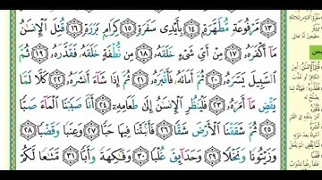 سورة عبس||من أروع التلاوات بدون مؤثرات صوتية بصوت القارئ غسان العداسي