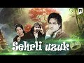 Sehrli uzuk (o'zbek film) | Сехрли узук (узбекфильм) #UydaQoling