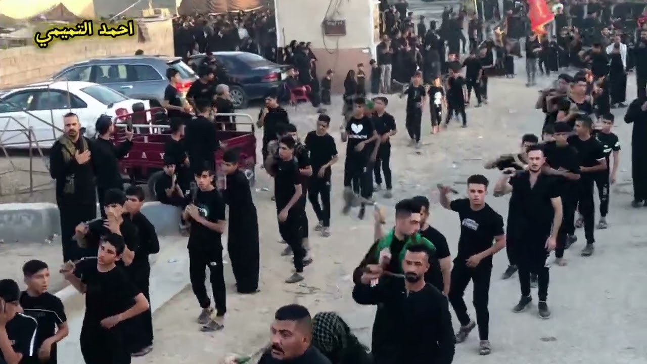 موكب الاحرار / اليوم السادس/ بصوت الرادود مؤيد الكليبي/ الخالص/ زنبور/ لسنه ١٤٤٥ للهجره