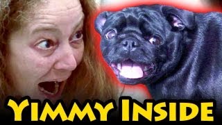 THE YIMMY INSIDE - "The Devil Inside" parody