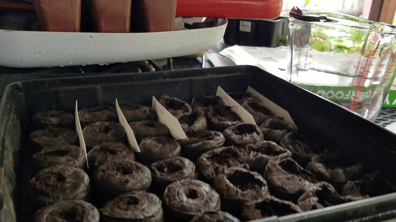 SL Gardener 001 Tomato and Cucumber Seeds Peat Pods