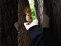 Самый маленький! 🥰 The littlest baby squirrel