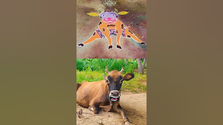 Maattu Pongal Kolam alapparaigal 😅 | 🐄 : Neengalam nallave iruka mattingada 😂🤣😜 | Sigamani |