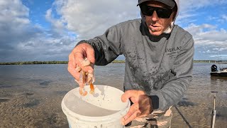 This bait catchs everything (Catch & Cook)
