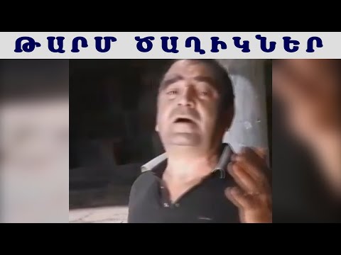 Video: Daim Duab Xav Tau Rau Schengen Vixaj