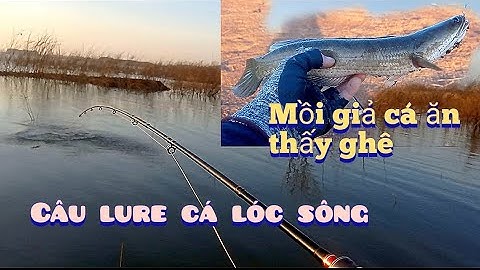 câu lure câu rê cá lóc sông bằng mồi mềm mồi giả nhái hơi f35 đánh chìm gặp cá ham ăn/ đập sông ray