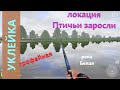 Русская рыбалка 4 - река Белая - Уклейка трофейная на перловку