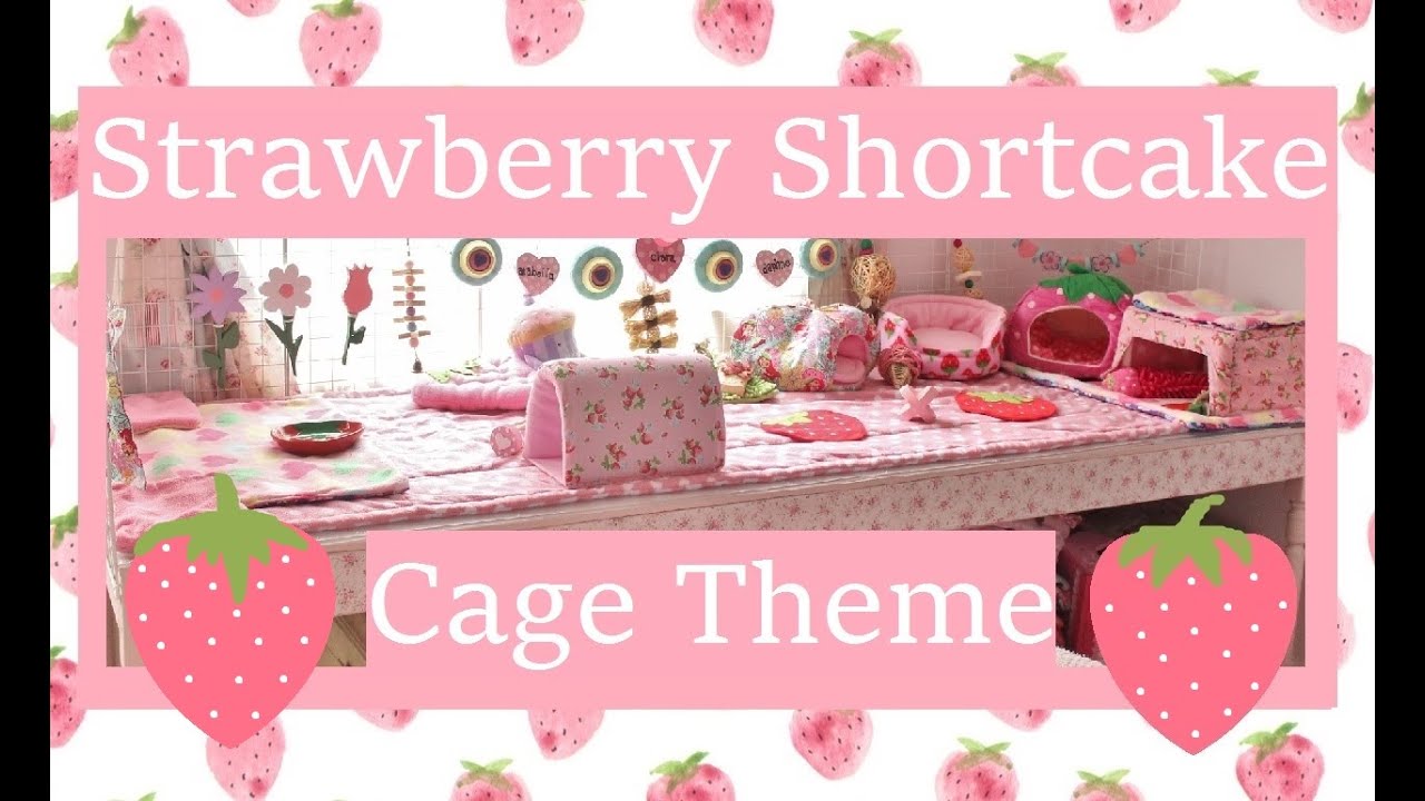 Strawberry Shortcake Guinea Pig Cage Tour