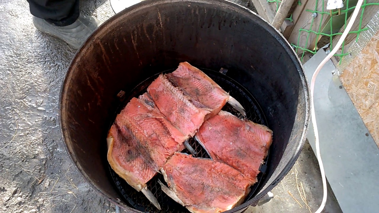 коптим красную рыбу кижуч