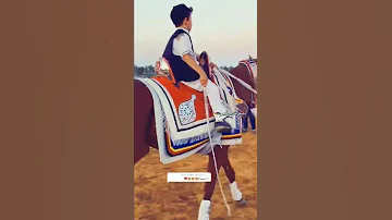 ليبيا حصان ترند 
