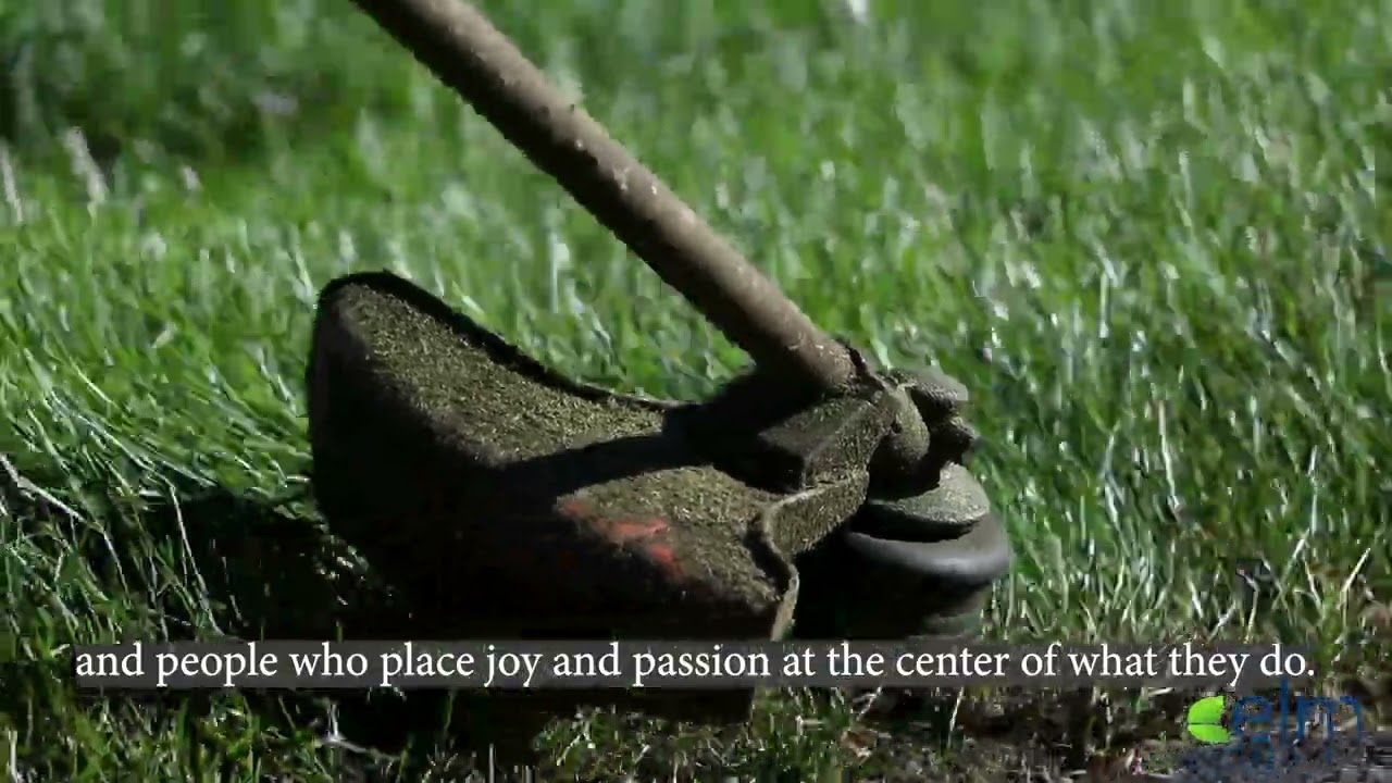 ELM - A Company Where You Want To Be