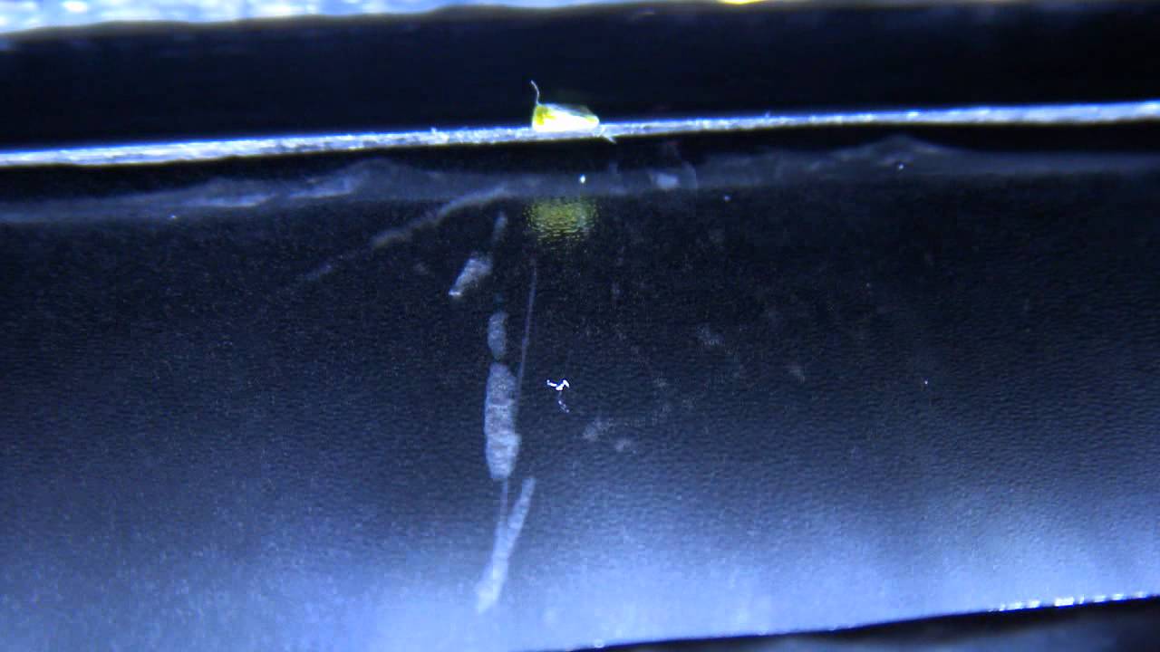 Uranium minerals inside a cloud chamber YouTube