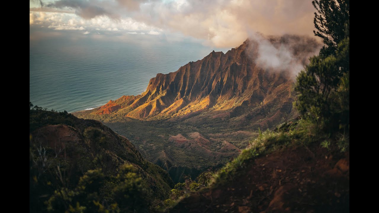 IMD162 Глава 8 - Проблемы и тенденции в информационных агентствах