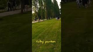 Valby Parken , Denmark.....
