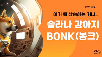 BONK 코인 솔라나 강아지 봉크코인 등장 100배 갈까 봉크코인 SOLANA 봉크 Bonk