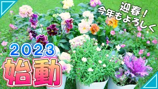 【ガーデニング】冬から春まで開花する花苗の植栽｜街路脇の厳しい環境に植付