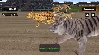 Crazy Wild Animal Racing Battle "Cheetah Vs Lion"- Android Gameplay #6 | DishoomGameplay screenshot 5