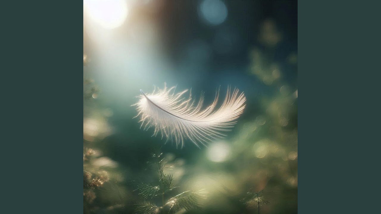 Weightless | Shades / Light