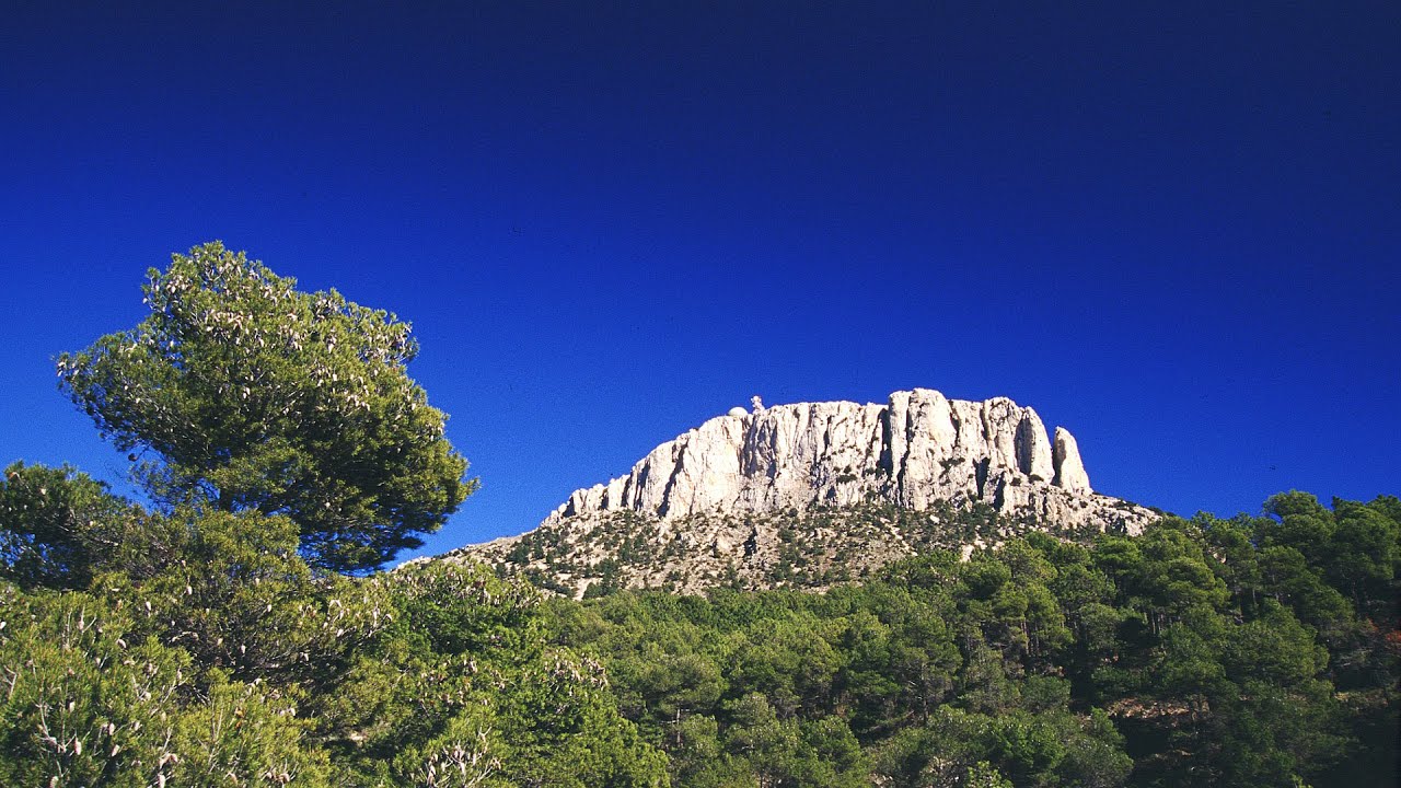 Parque Regional Sierra Espuña - El parque