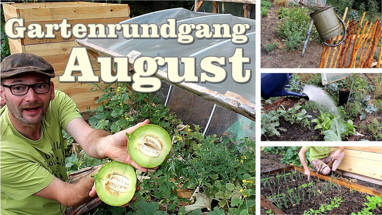 Gartenrundgang August, Tomaten, Melonen, Jungpflanzen und was alles bewässert werden muss