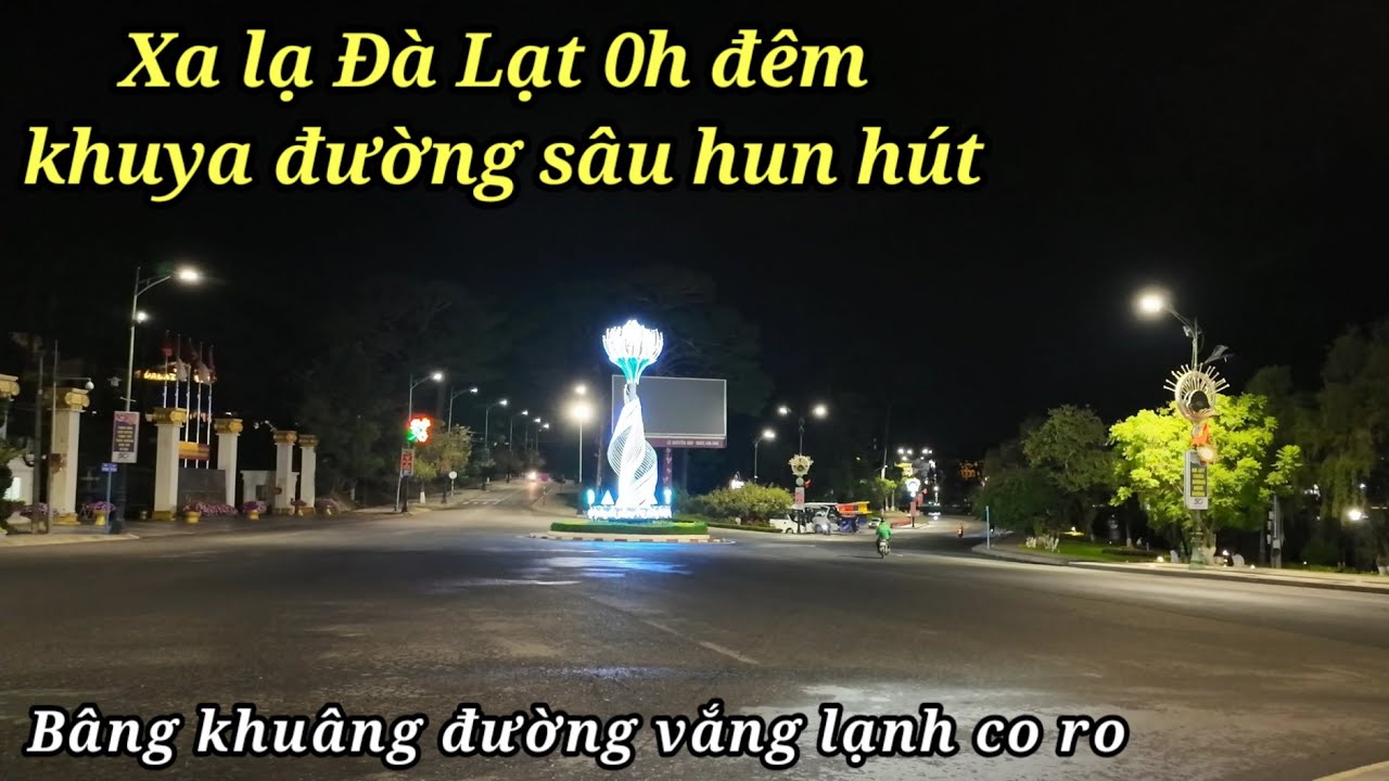 Lạ lắm Đà Lạt lạc lối không giờ khuya trời lạnh co ro