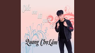Chắc Em Đã Quên Rồi