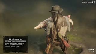 PESCANDO ESTURION DE LAGO 8 87 KG JOHN MARSTON Red Dead Redemption 2 GAMEPLAY PS4 🔫 🔪🐎🐴