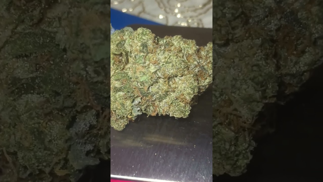 Gelato Cake Cultivar Review in house grown by Reefer Madness Dispensary South Denver