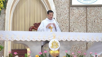 Lễ Xưng Tội và Rước Lễ Lần Đầu của các em xưng tội 3 ngày 11/6/2023 tại Giáo xứ Bùi Hiệp