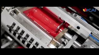 CAI Dry offset printer for injection cups #cai #plastic #printing #offset