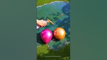 Quantum Chroma Detonation: Flamethrower vs. Holographic Balloons (ASMR Therapy) #amsr