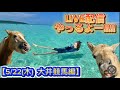【大井競馬開催】今日も競馬のライブ配信やっるよ〜⭐️