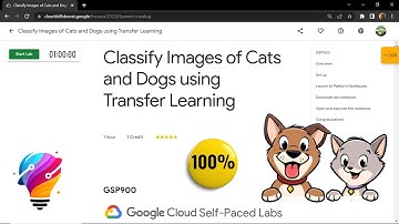 Classify Images of Cats and Dogs using Transfer Learning || [GSP900] || Solution