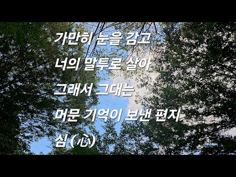 DK 디셈버 노래 베스트 다섯곡 개취