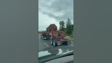 3 log load. Big logs!