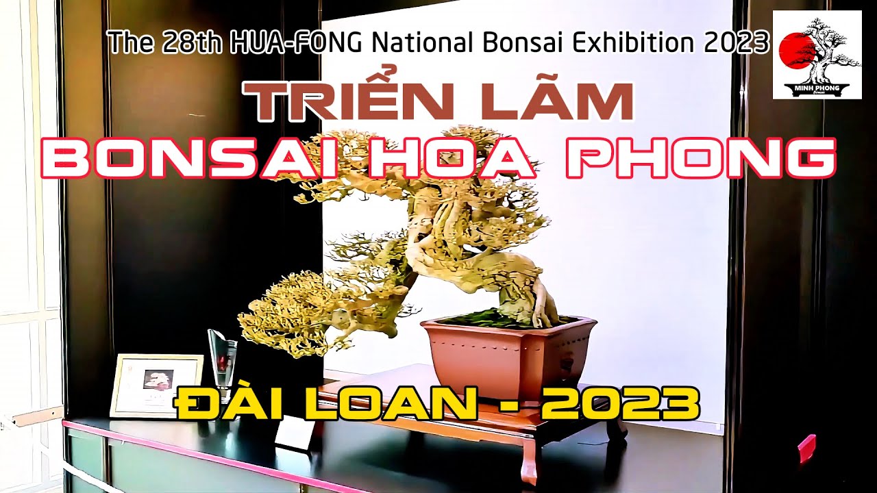 Triển lãm Bonsai Hoa Phong Đài Loan 2023