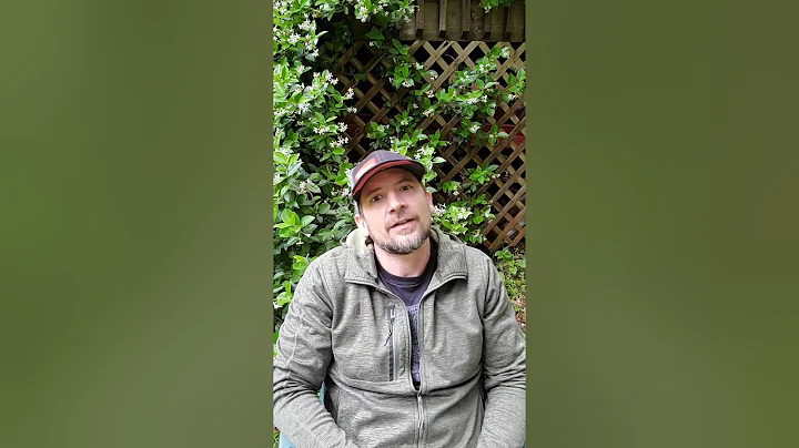 Zoom H4n  - The Standard for Recording a Podcast