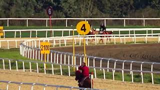 TEKİNCİ OĞUZ EREN SİNAN ÇETİN İLE 400 METRE    11 04 2021 PAZAR