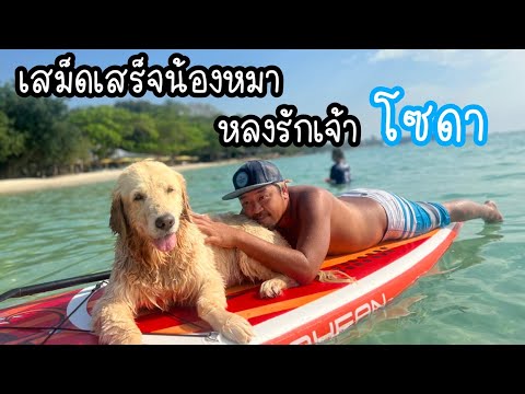 เสม็ดเสร็จน้องหมา หลงรักเจ้าโซดา