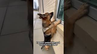 He Was Waiting Outside the Hospital for Someone Inside