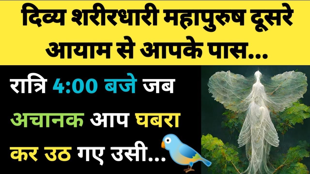 रात्रि 4 बजे जब अचानक आप घबरा कर उठ गए उसी ✍️🕊🦩 l Channeled Divine Message