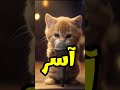 اغنية اسر الفيديو كامل دوس هنا