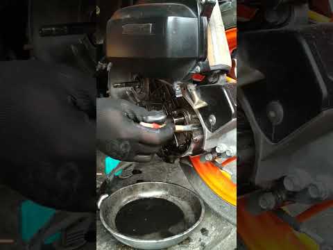 ผลสลากกินแบ่งรัฐบาล วันที่ 1 พย. 2567