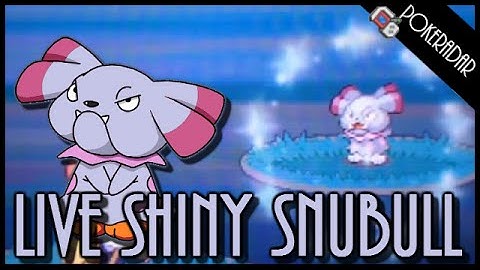 LIVE!! Shiny SNUBULL + SHINY PATCH at chain of 40!!