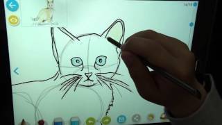 FunJoy - Learn How to Draw and Paint,   Cat2