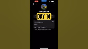 DAY14 DEVELOPING TG BOT FOR YOUR CLIENT’S APPOINTMENTS #springboot #java #telegrambot  #telegram