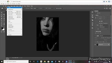 Photoshop tutorial how to make a halftone stencil street art design of Billie Eilish